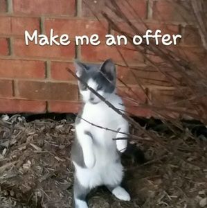 Please make me an offer